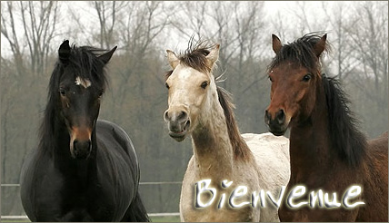 Bienvenue !