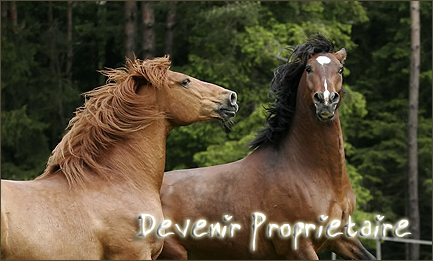 Devenir Propritaire